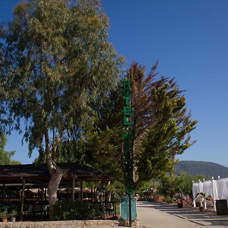Hotel Hellas Epidaurus ภายนอก รูปภาพ